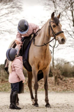 Suedwind Footwear Kids Fun Reitstiefel 15 Suedwind Footwear Kids Fun Reitstiefel -MOUNTAIN HORSE || Ariat || Pikeur Verkäufe 1T174 099 07