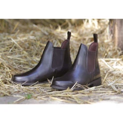 Harry's Horse Saint Reitstiefeletten Aus Leder -MOUNTAIN HORSE || Ariat || Pikeur Verkäufe 308939 BR 2