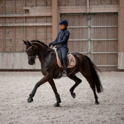 B Vertigo Thermo Leder Reithandschuhe 20 B Vertigo Thermo Leder Reithandschuhe -MOUNTAIN HORSE || Ariat || Pikeur Verkäufe 31584 BL 7