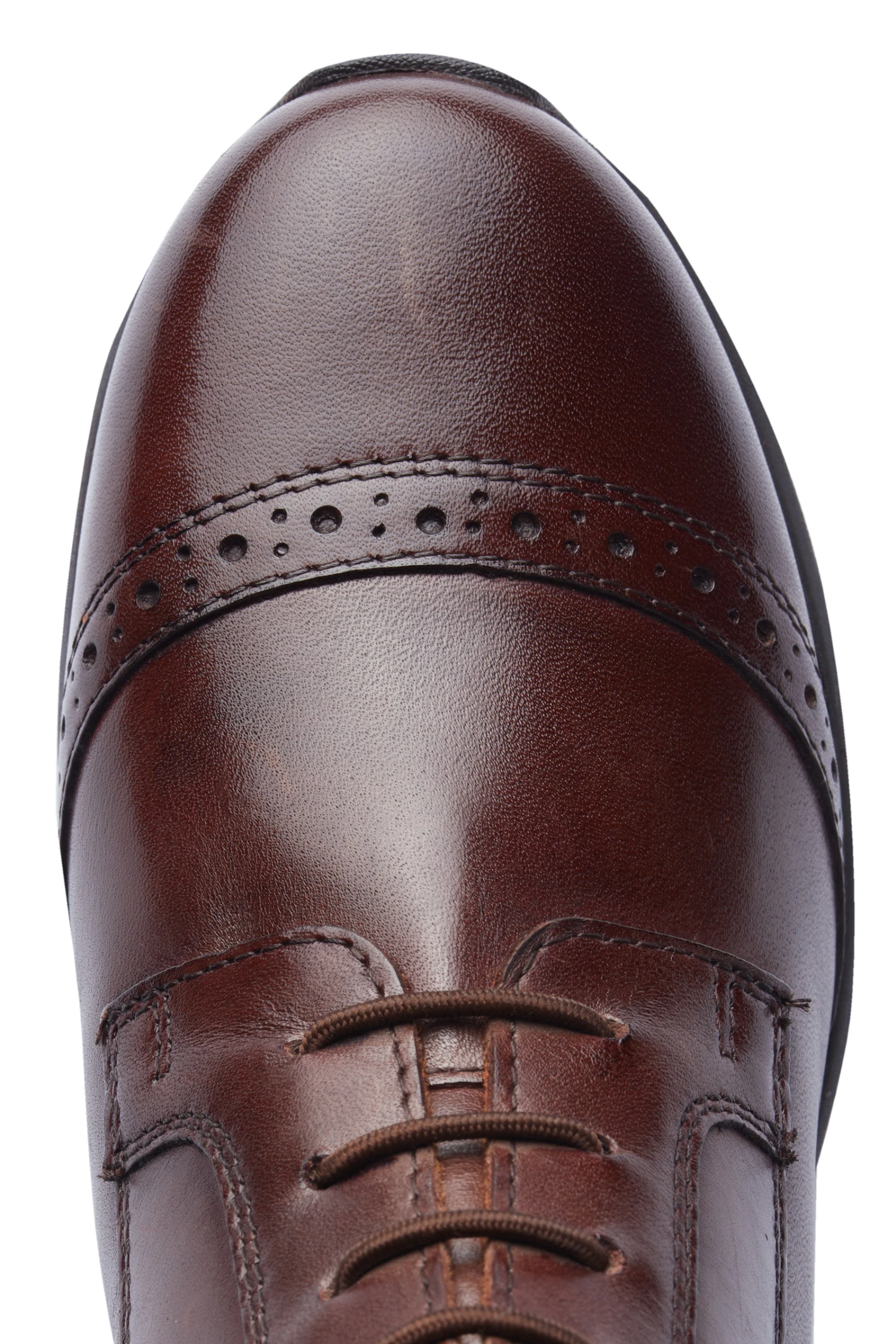 Horze Wicklow Reitstiefeletten 7 Horze Wicklow Reitstiefeletten - Image 5