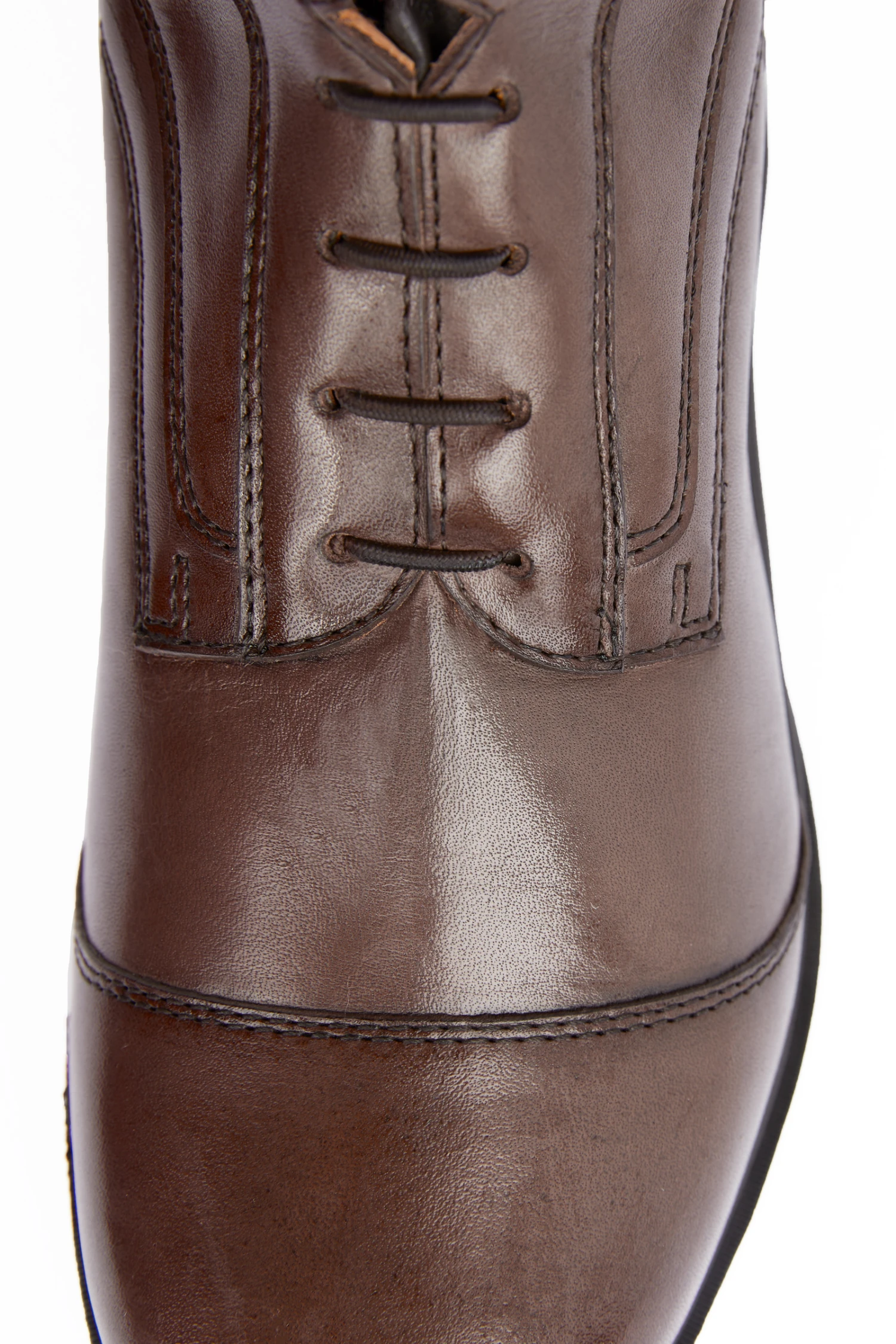 B Vertigo Vega Damen Reitstiefel 15 B Vertigo Vega Damen Reitstiefel - Image 13