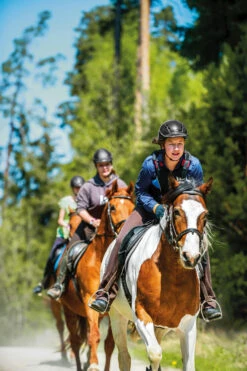 Uvex Onyxx Matt Reithelm Für Kinder -MOUNTAIN HORSE || Ariat || Pikeur Verkäufe V3M0E 099 07