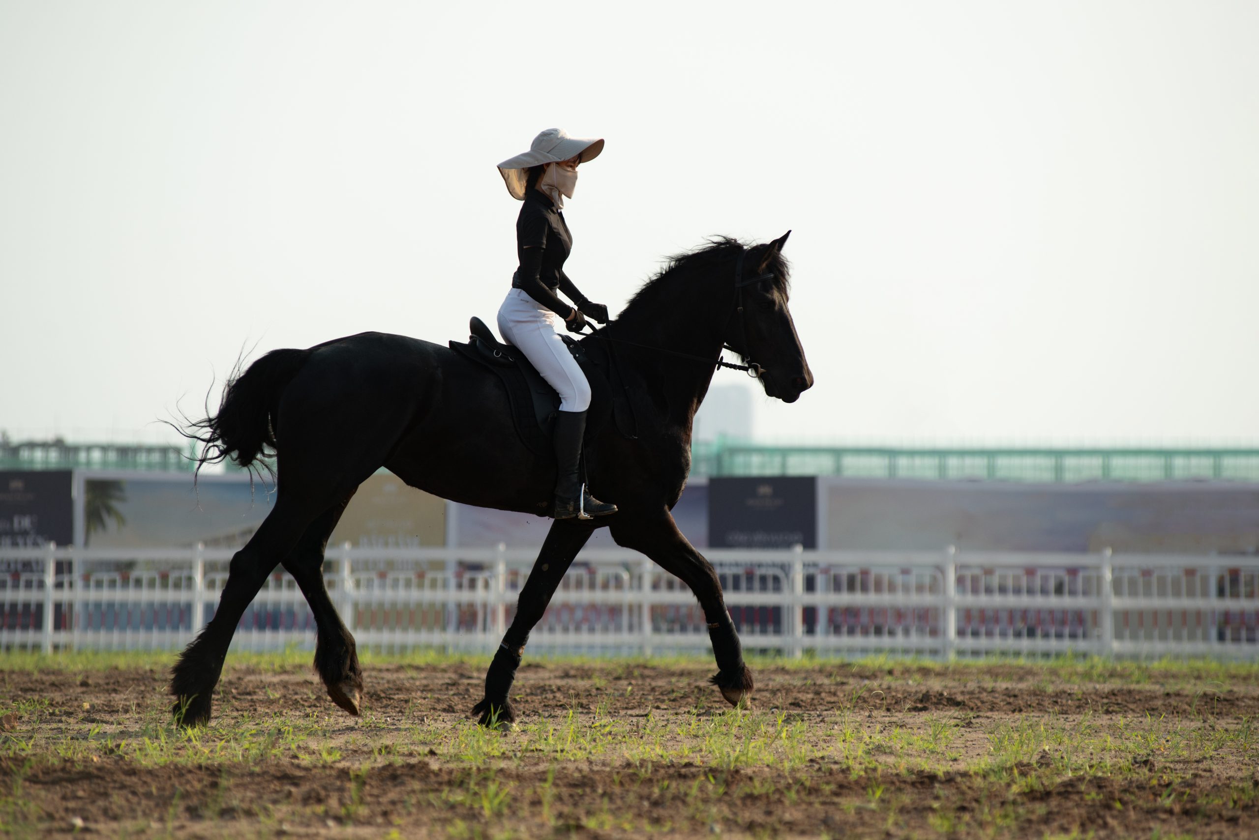 MOUNTAIN HORSE || Ariat || Pikeur Verkäufe 3 MOUNTAIN HORSE || Ariat || Pikeur Verkäufe -MOUNTAIN HORSE || Ariat || Pikeur Verkäufe TRE 1795 scaled 1